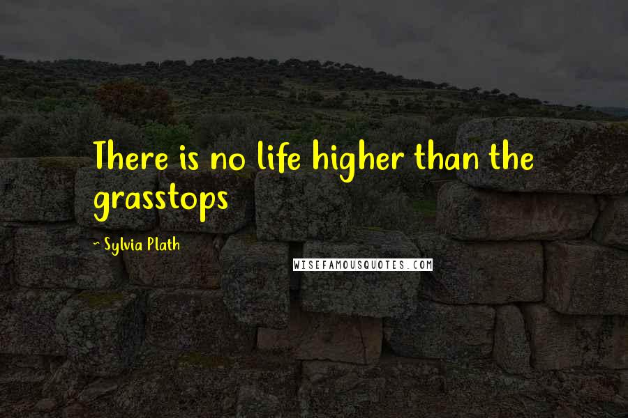 Sylvia Plath Quotes: There is no life higher than the grasstops