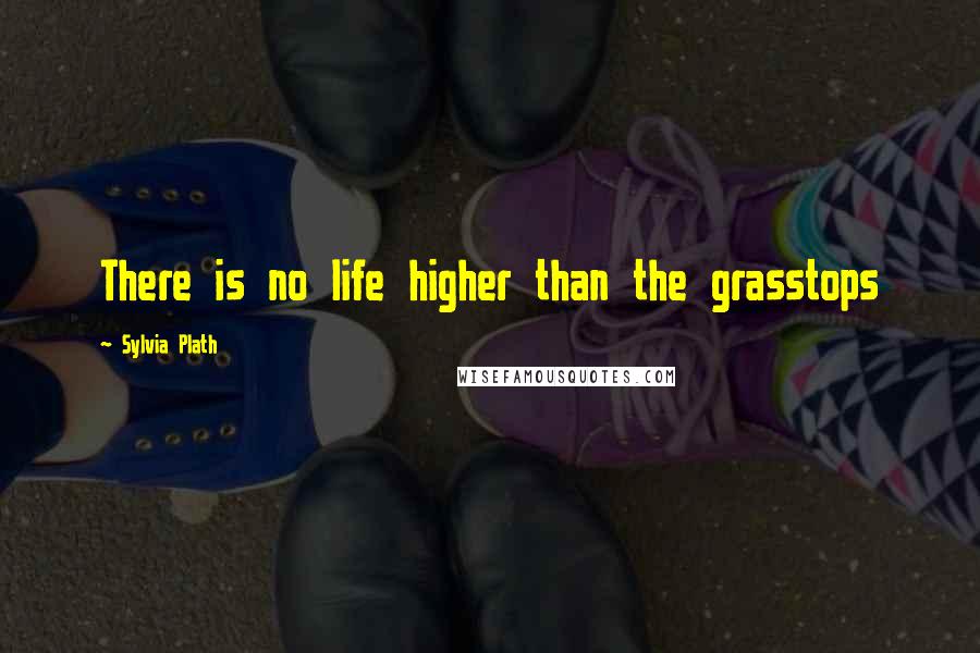 Sylvia Plath Quotes: There is no life higher than the grasstops