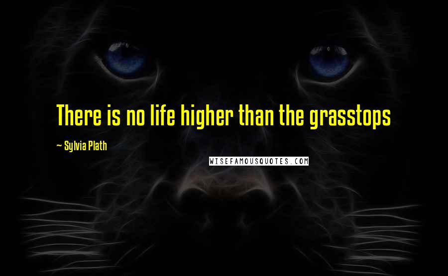 Sylvia Plath Quotes: There is no life higher than the grasstops