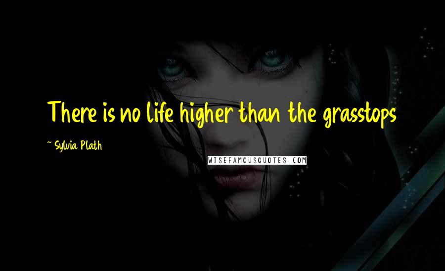 Sylvia Plath Quotes: There is no life higher than the grasstops