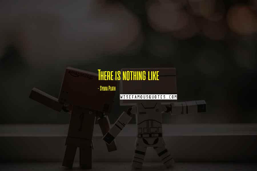 Sylvia Plath Quotes: There is nothing like