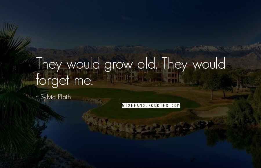 Sylvia Plath Quotes: They would grow old. They would forget me.