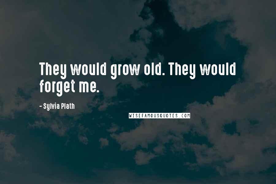 Sylvia Plath Quotes: They would grow old. They would forget me.