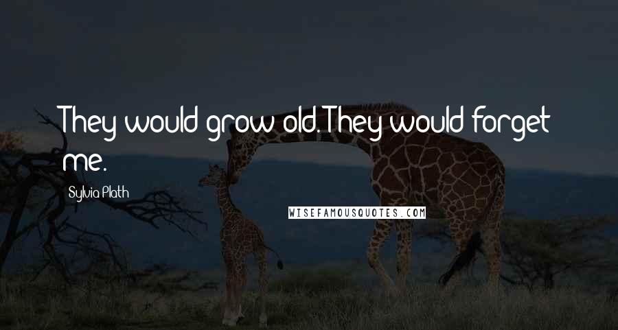 Sylvia Plath Quotes: They would grow old. They would forget me.