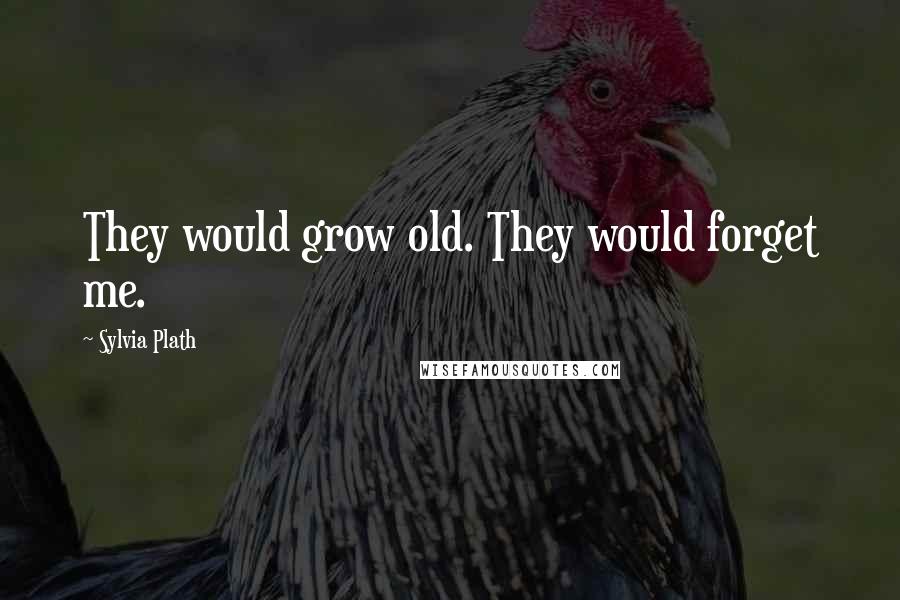 Sylvia Plath Quotes: They would grow old. They would forget me.