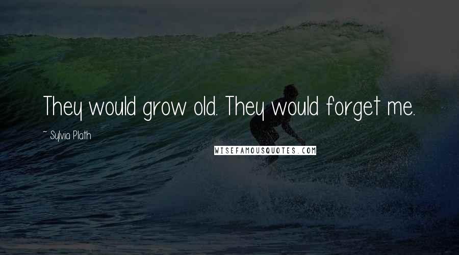 Sylvia Plath Quotes: They would grow old. They would forget me.