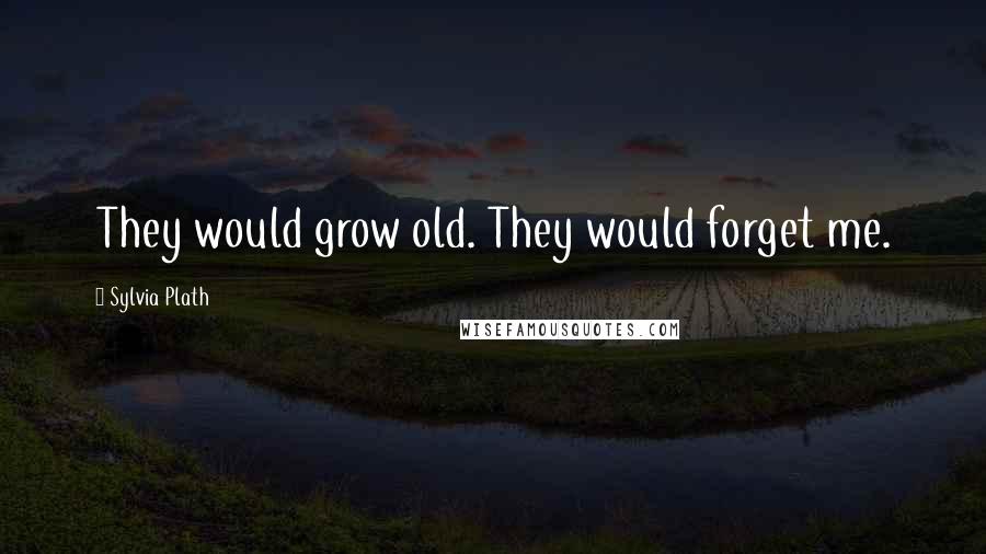 Sylvia Plath Quotes: They would grow old. They would forget me.