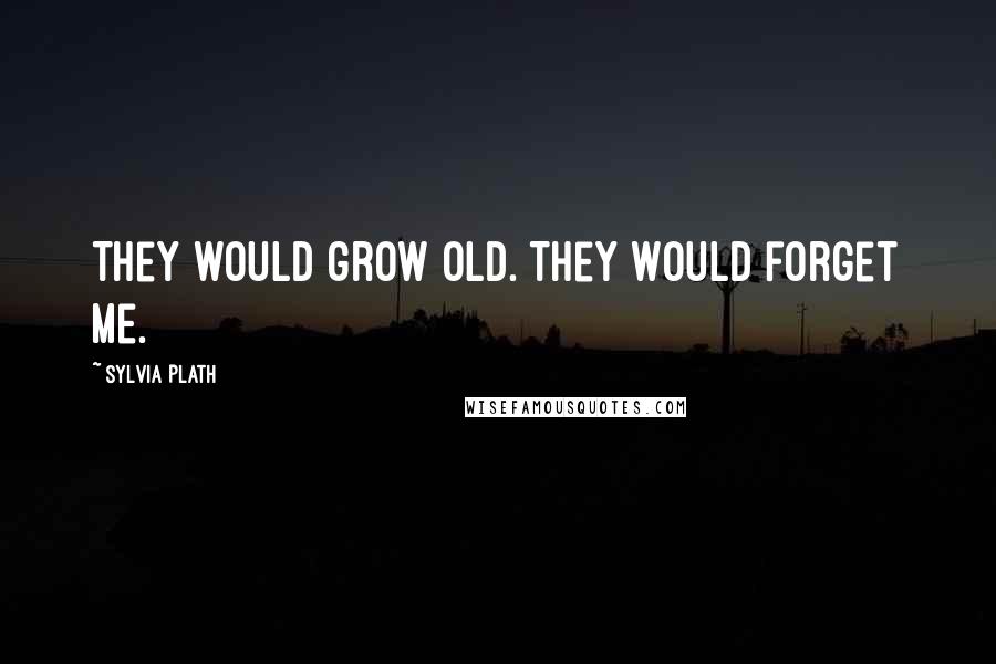 Sylvia Plath Quotes: They would grow old. They would forget me.