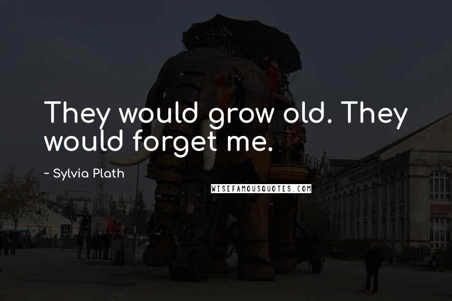 Sylvia Plath Quotes: They would grow old. They would forget me.