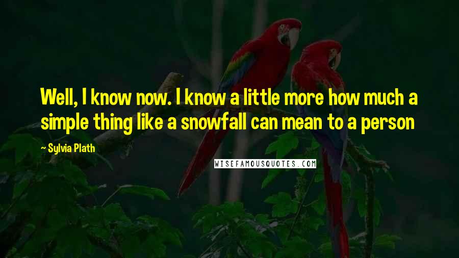 Sylvia Plath Quotes: Well, I know now. I know a little more how much a simple thing like a snowfall can mean to a person