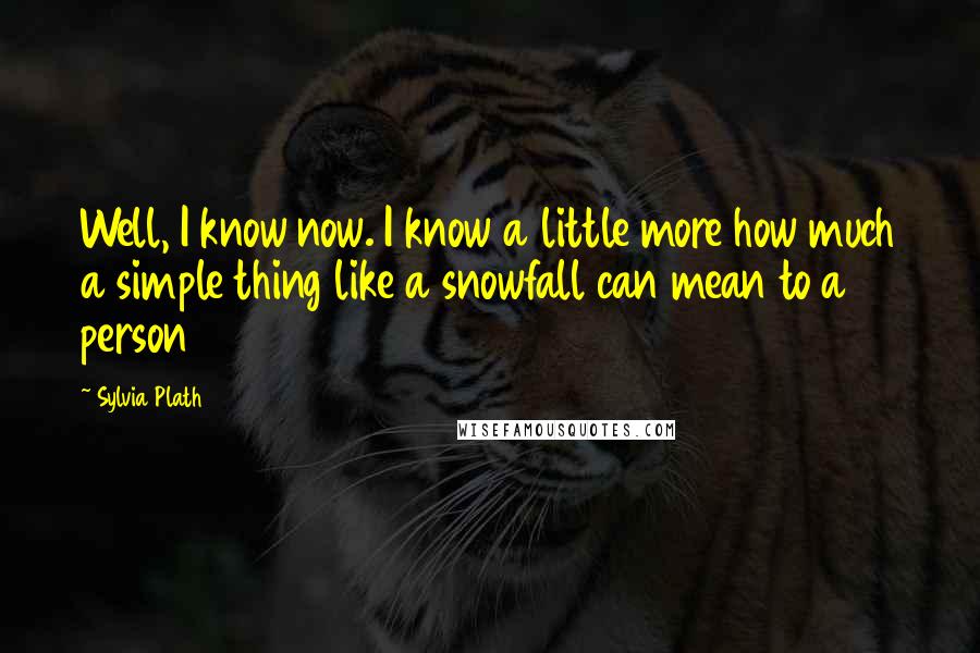 Sylvia Plath Quotes: Well, I know now. I know a little more how much a simple thing like a snowfall can mean to a person