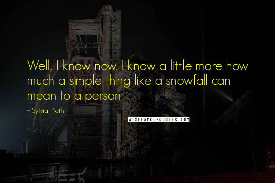 Sylvia Plath Quotes: Well, I know now. I know a little more how much a simple thing like a snowfall can mean to a person