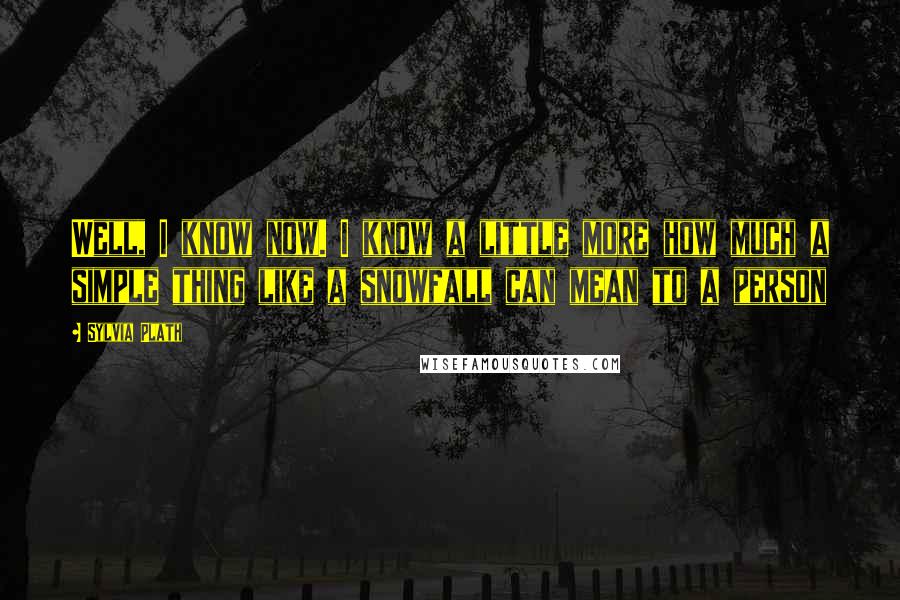 Sylvia Plath Quotes: Well, I know now. I know a little more how much a simple thing like a snowfall can mean to a person