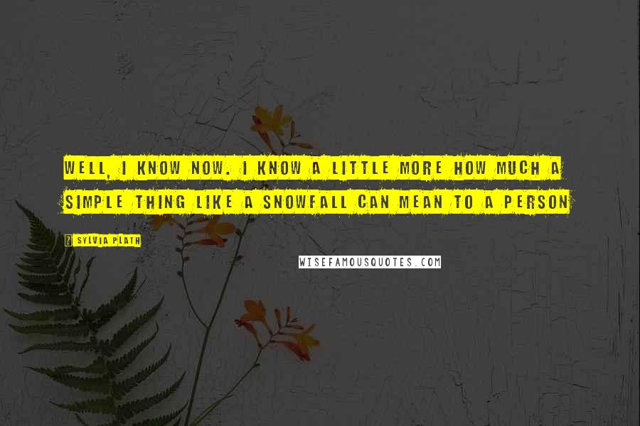 Sylvia Plath Quotes: Well, I know now. I know a little more how much a simple thing like a snowfall can mean to a person