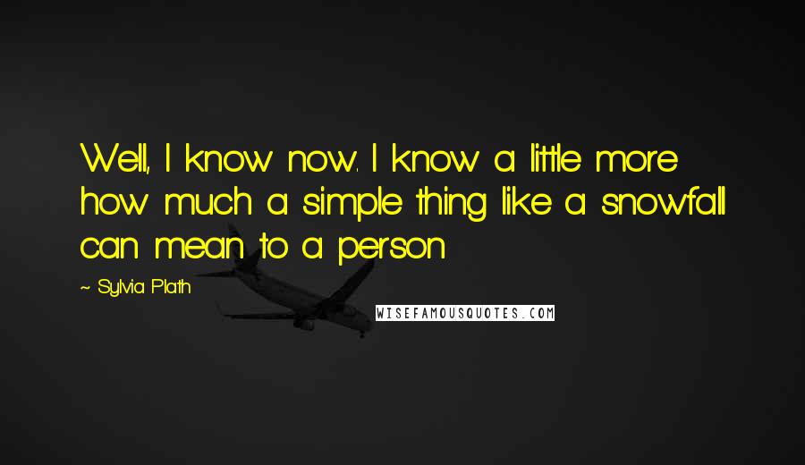 Sylvia Plath Quotes: Well, I know now. I know a little more how much a simple thing like a snowfall can mean to a person