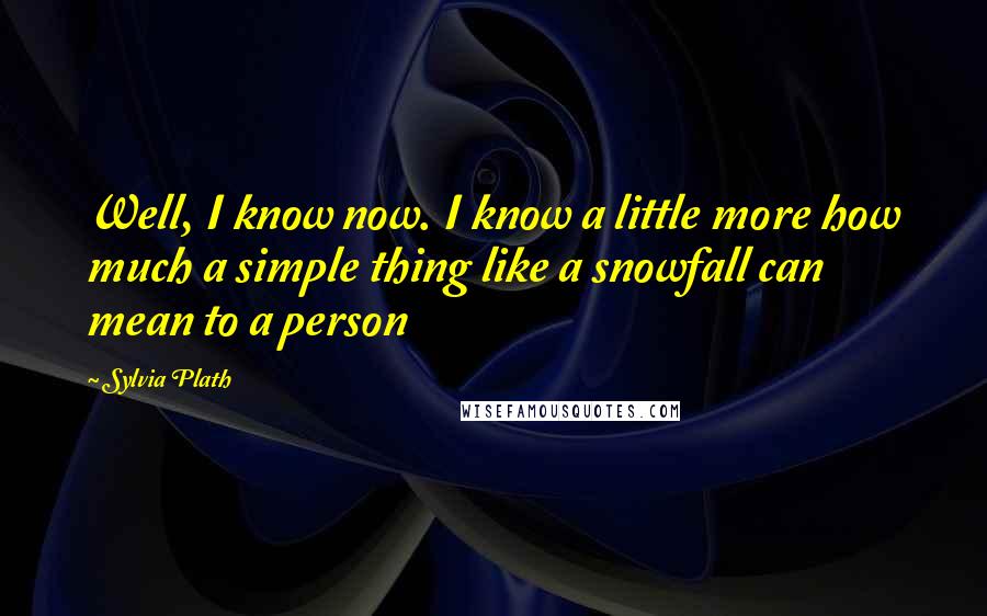 Sylvia Plath Quotes: Well, I know now. I know a little more how much a simple thing like a snowfall can mean to a person