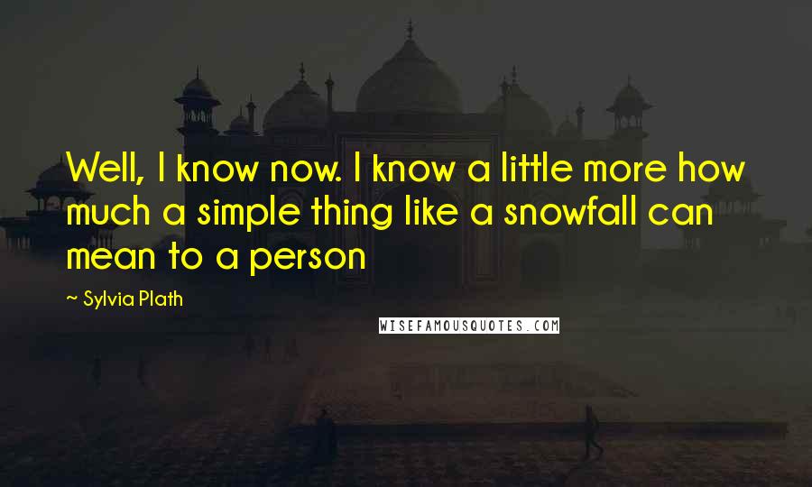 Sylvia Plath Quotes: Well, I know now. I know a little more how much a simple thing like a snowfall can mean to a person