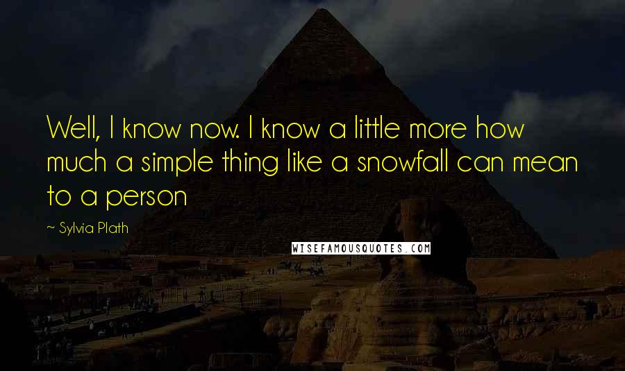 Sylvia Plath Quotes: Well, I know now. I know a little more how much a simple thing like a snowfall can mean to a person