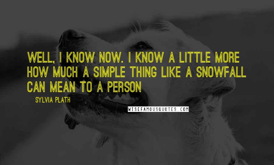 Sylvia Plath Quotes: Well, I know now. I know a little more how much a simple thing like a snowfall can mean to a person