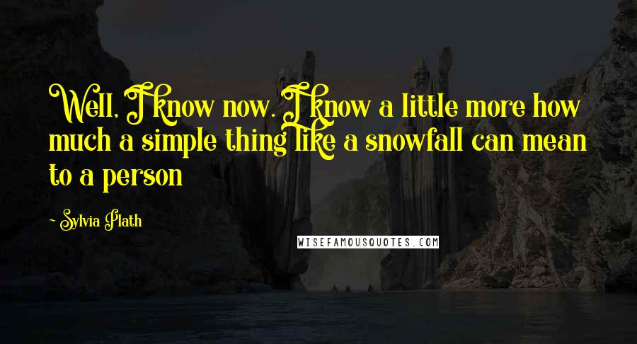 Sylvia Plath Quotes: Well, I know now. I know a little more how much a simple thing like a snowfall can mean to a person