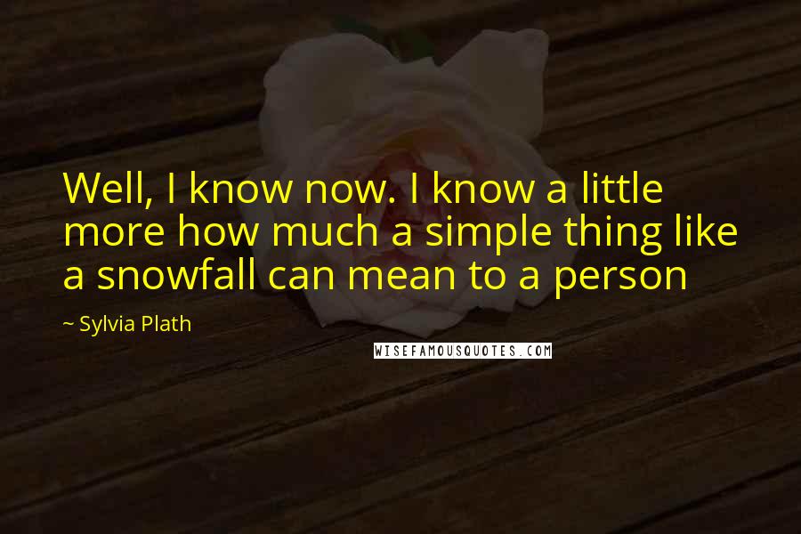 Sylvia Plath Quotes: Well, I know now. I know a little more how much a simple thing like a snowfall can mean to a person