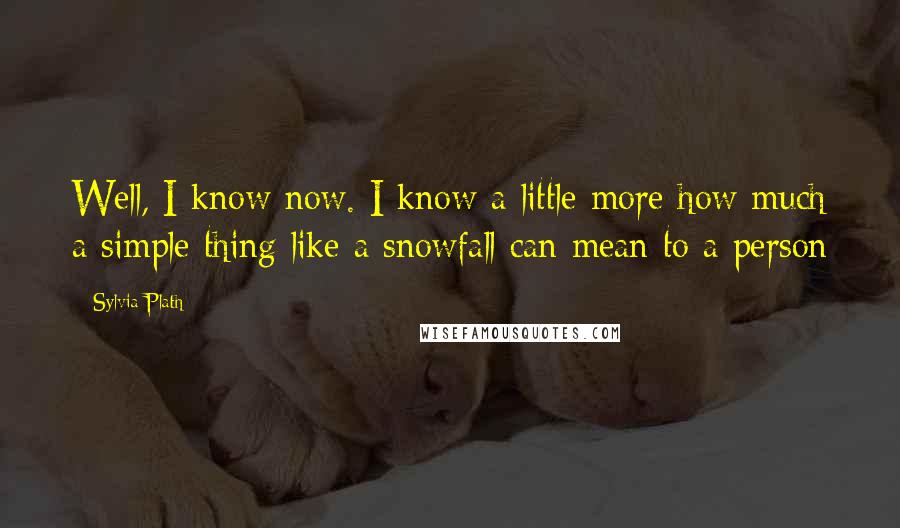 Sylvia Plath Quotes: Well, I know now. I know a little more how much a simple thing like a snowfall can mean to a person