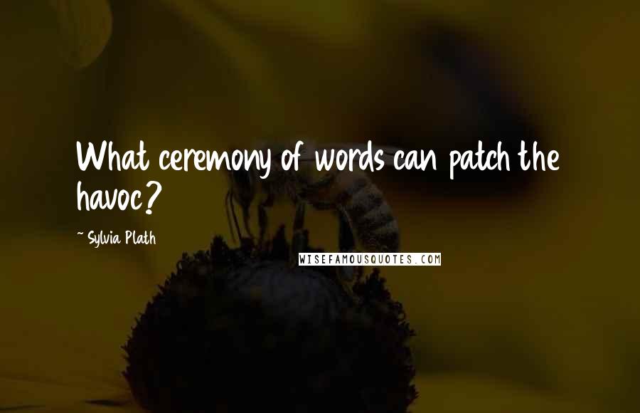 Sylvia Plath Quotes: What ceremony of words can patch the havoc?