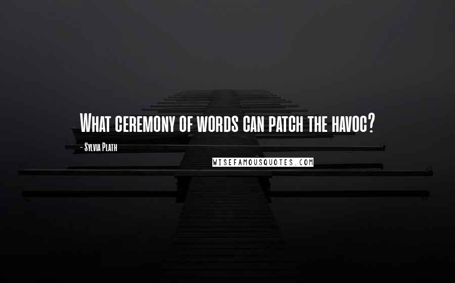 Sylvia Plath Quotes: What ceremony of words can patch the havoc?