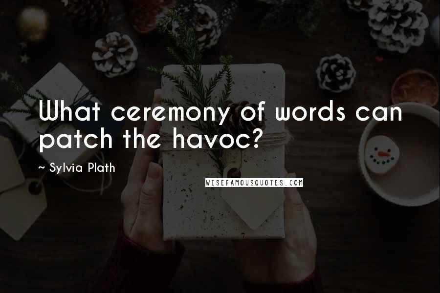 Sylvia Plath Quotes: What ceremony of words can patch the havoc?