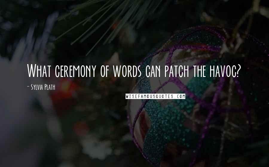 Sylvia Plath Quotes: What ceremony of words can patch the havoc?