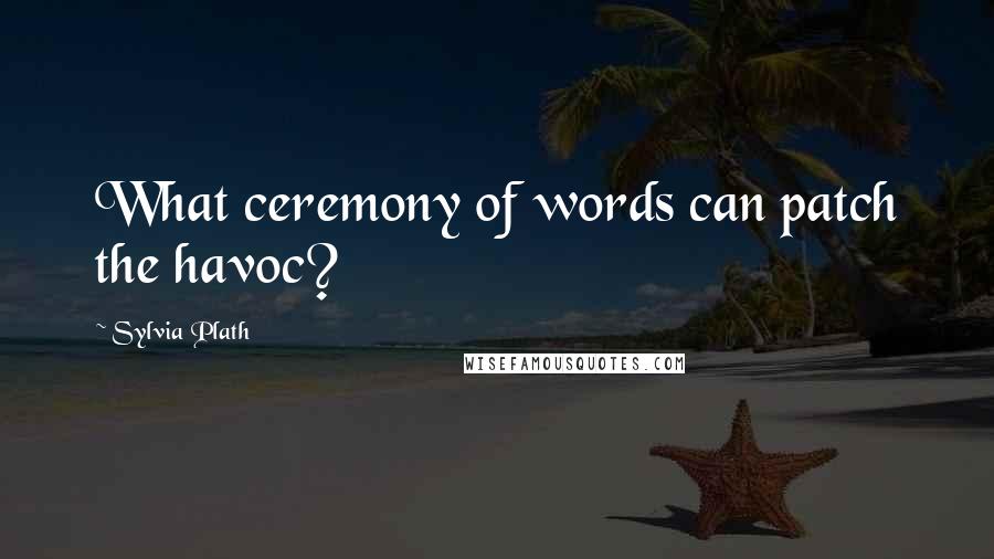 Sylvia Plath Quotes: What ceremony of words can patch the havoc?