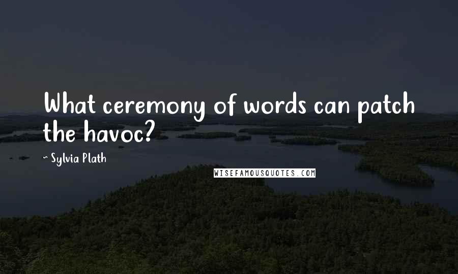 Sylvia Plath Quotes: What ceremony of words can patch the havoc?