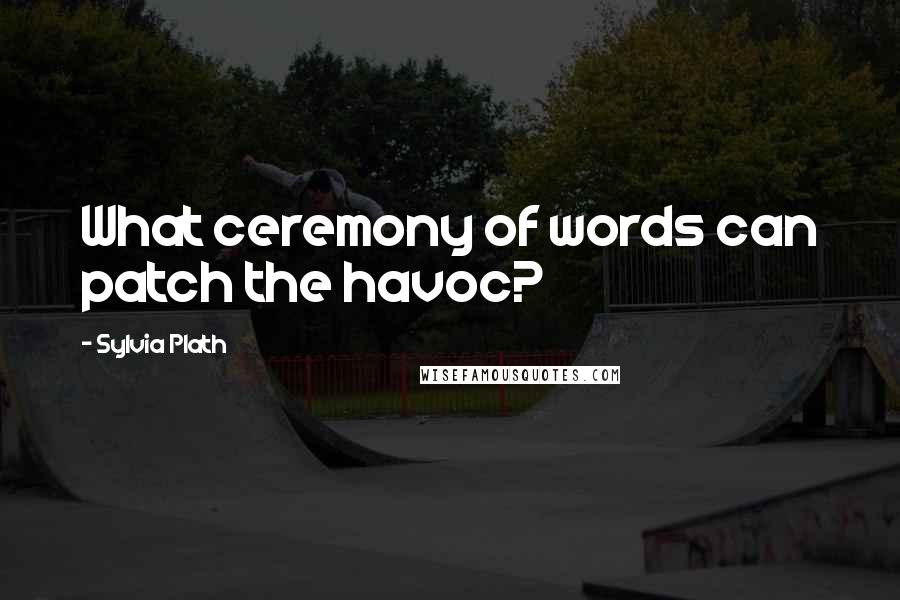 Sylvia Plath Quotes: What ceremony of words can patch the havoc?