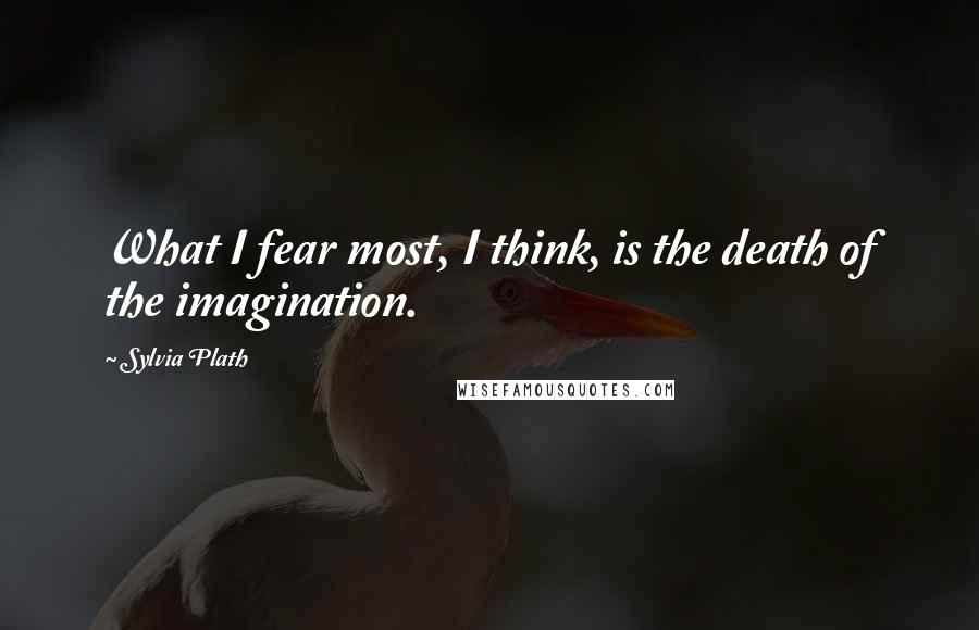 Sylvia Plath Quotes: What I fear most, I think, is the death of the imagination.