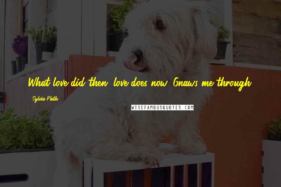 Sylvia Plath Quotes: What love did then, love does now: Gnaws me through.