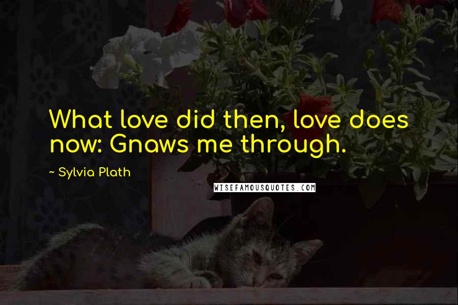 Sylvia Plath Quotes: What love did then, love does now: Gnaws me through.