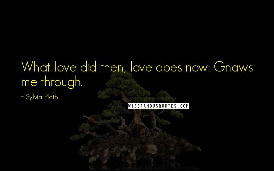 Sylvia Plath Quotes: What love did then, love does now: Gnaws me through.