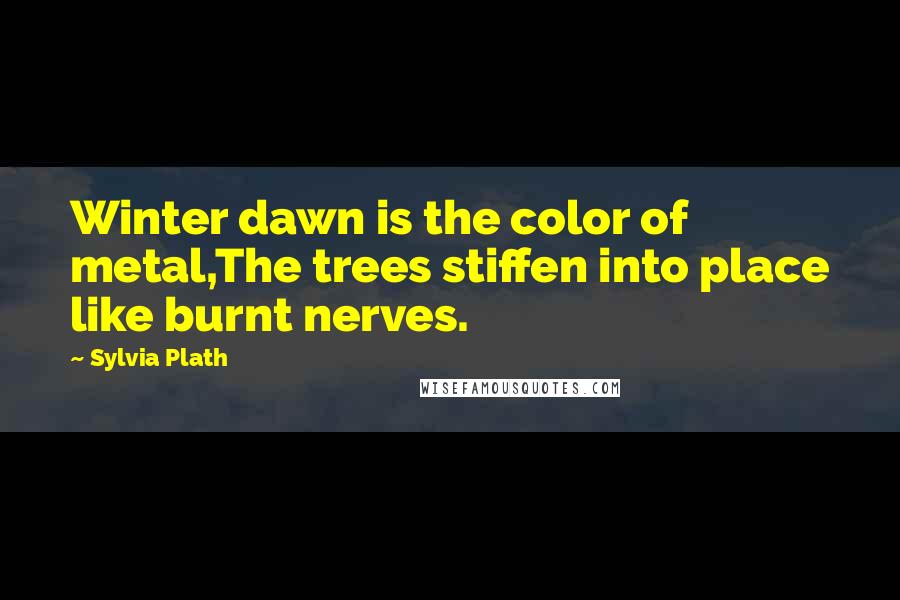 Sylvia Plath Quotes: Winter dawn is the color of metal,The trees stiffen into place like burnt nerves.