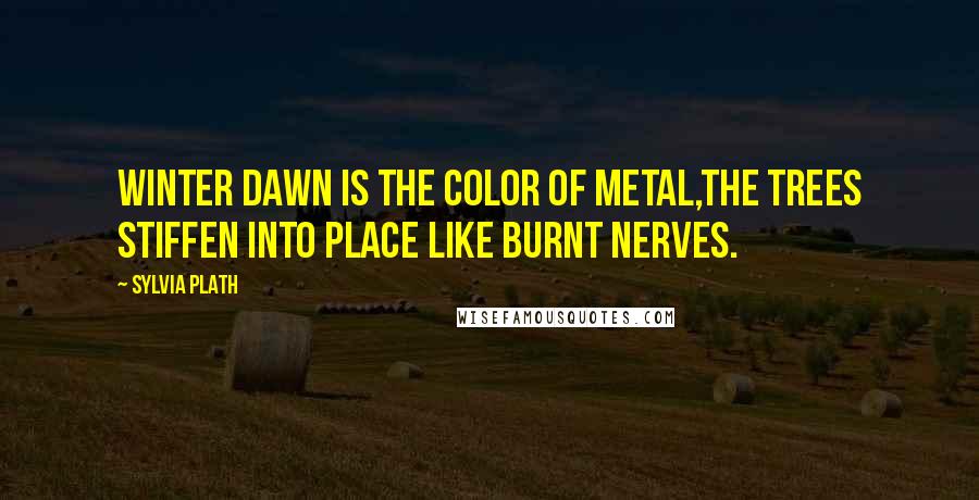 Sylvia Plath Quotes: Winter dawn is the color of metal,The trees stiffen into place like burnt nerves.