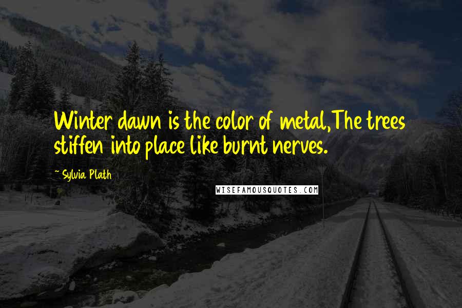 Sylvia Plath Quotes: Winter dawn is the color of metal,The trees stiffen into place like burnt nerves.