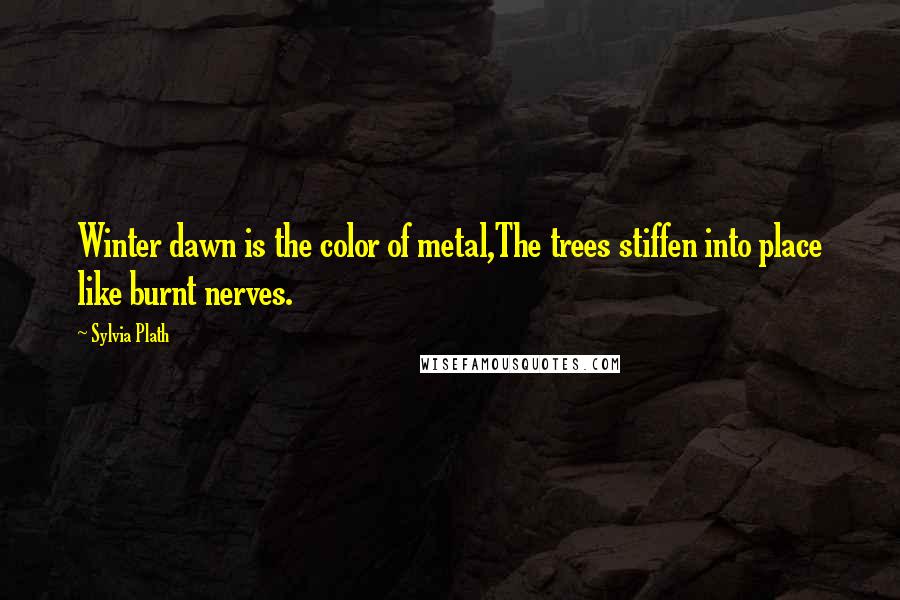 Sylvia Plath Quotes: Winter dawn is the color of metal,The trees stiffen into place like burnt nerves.