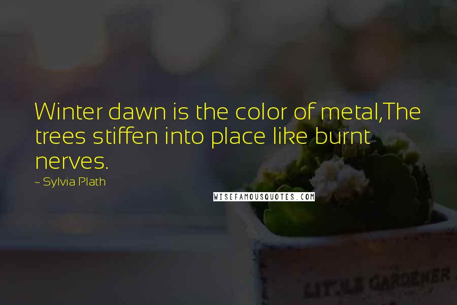 Sylvia Plath Quotes: Winter dawn is the color of metal,The trees stiffen into place like burnt nerves.