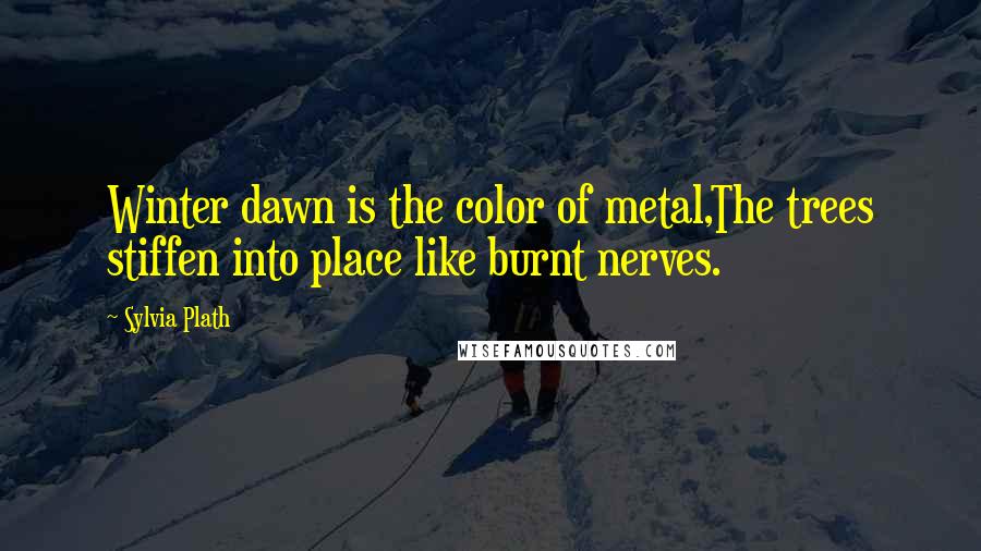 Sylvia Plath Quotes: Winter dawn is the color of metal,The trees stiffen into place like burnt nerves.