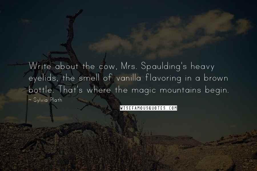 Sylvia Plath Quotes: Write about the cow, Mrs. Spaulding's heavy eyelids, the smell of vanilla flavoring in a brown bottle. That's where the magic mountains begin.