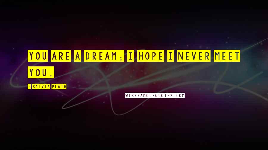 Sylvia Plath Quotes: You are a dream; I hope I never meet you.