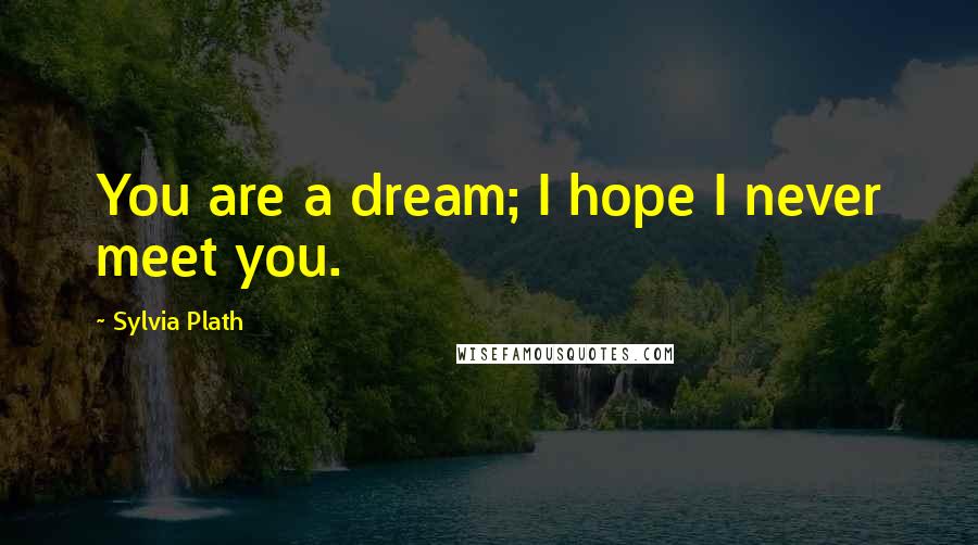 Sylvia Plath Quotes: You are a dream; I hope I never meet you.