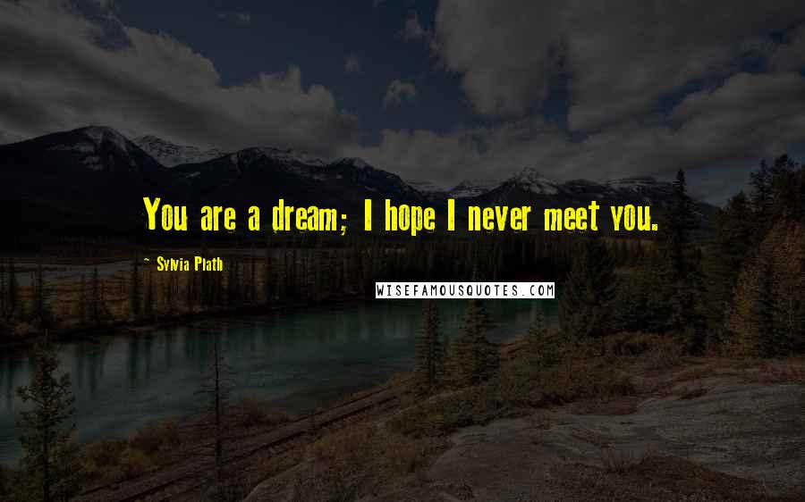 Sylvia Plath Quotes: You are a dream; I hope I never meet you.