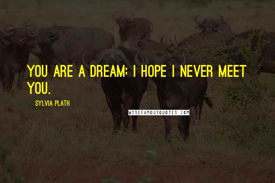 Sylvia Plath Quotes: You are a dream; I hope I never meet you.