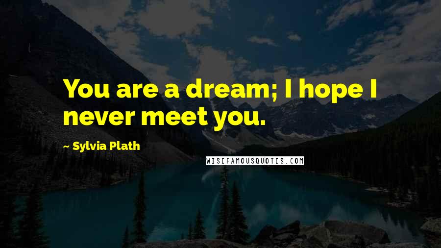 Sylvia Plath Quotes: You are a dream; I hope I never meet you.