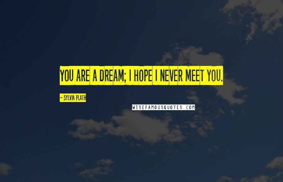 Sylvia Plath Quotes: You are a dream; I hope I never meet you.
